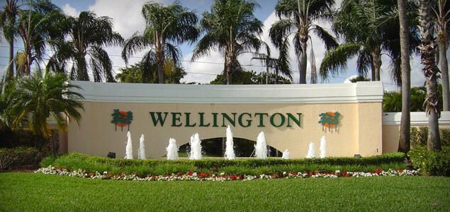 A sign for wellington is surrounded by palm trees